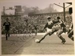 C.Cooper scores v Luton.jpeg