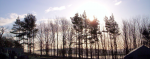 Bright frosty dawn at The Sil444444444444.png
