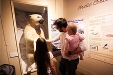 capt cook museum inside 2.jpg