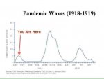 pandemic peaks.jpg