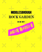Screenshot 2021-08-23 at 06-38-51 Middlesbrough Punk Rock Garden Acne Rabble Graphic T-Shirt b...png