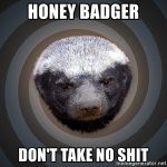 honey-badger-dont-take-no-****.jpg