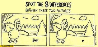 spot-the-8-differences-between-these-two-pictures-spider-legs.jpg