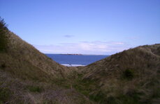 Farne Island through the dunes.JPG