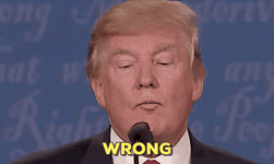 1697483606629.gif