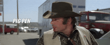 tumblr_p3svvmBnfS1ukan8ko4_500 (1).gif