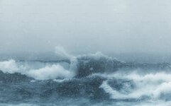 IMG_1856.jpeg