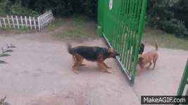 1697913966360.gif 1697913966360.gif