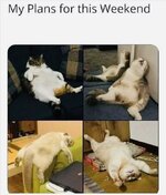 IMG_0473.jpeg