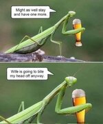 IMG_0478.jpeg