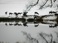 asDSCN0106.jpg
