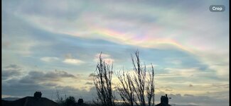 IMG_8679.jpeg