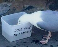 20201213_133935.jpg