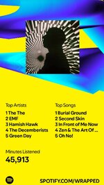 Screenshot_20241204_192427_Spotify.jpg