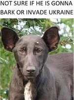 IMG_0589.jpeg