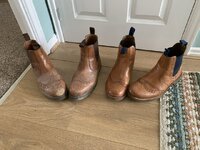IMG_7161.jpeg