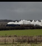 IMG_0017.jpeg