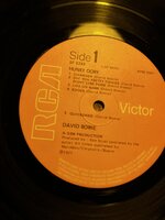 IMG_3866.jpeg