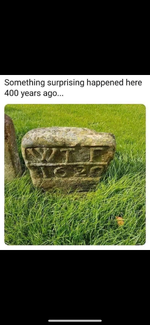 IMG_2837.png