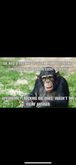 IMG_0219.png