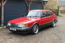 IMG_2666.jpeg IMG_2666.jpeg