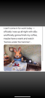 IMG_3100.png