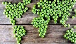 world peas (1).jpg